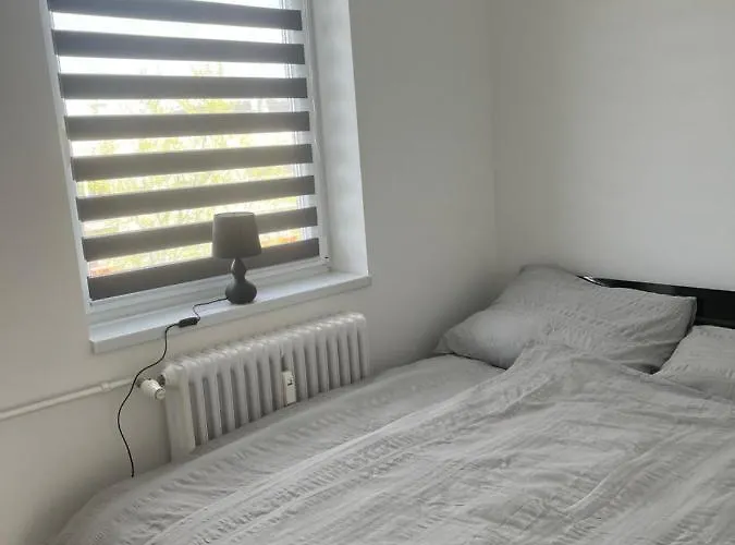 Horizont-szilvas * Komló